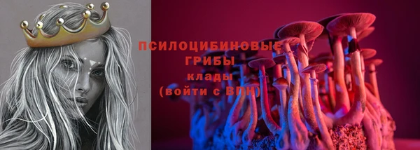 ПСИЛОЦИБИНОВЫЕ ГРИБЫ Алексин