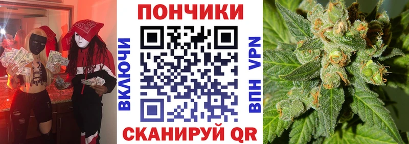 где продают Сосновка МАРИХУАНА THC 21%